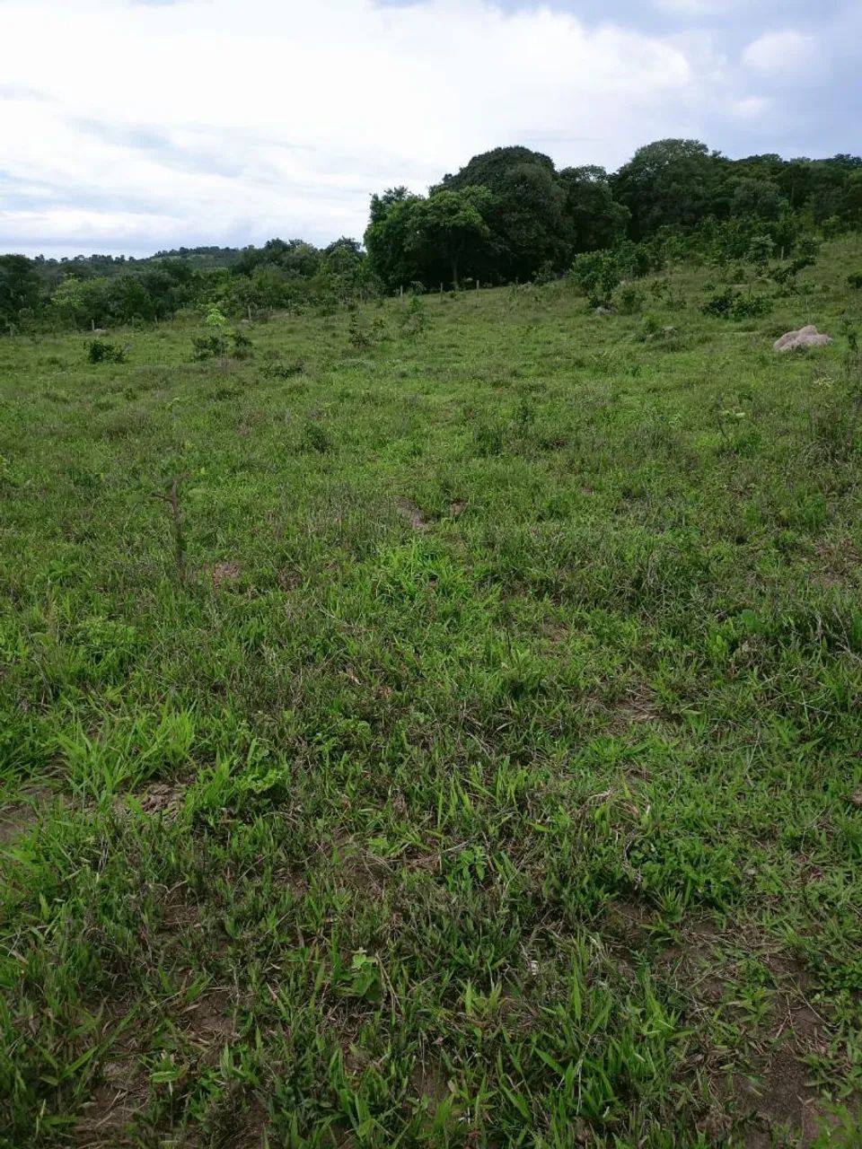 Chácara em anicuns - Foto 2