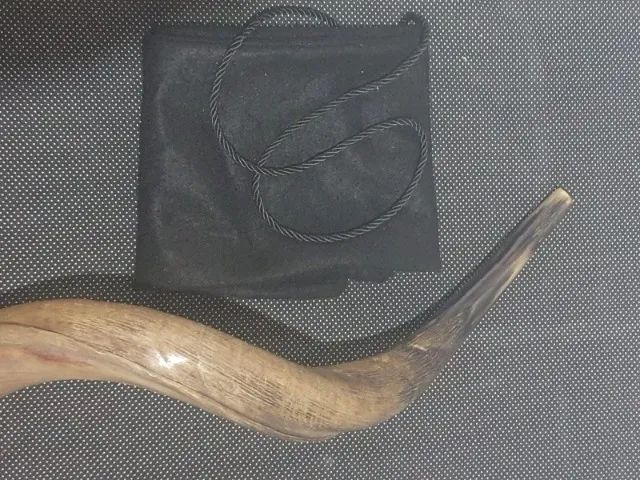 Shofar de Israel - 2026 - Foto 5