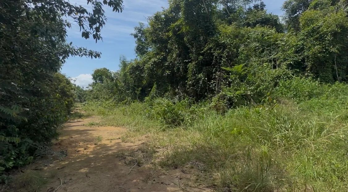 Terreno km19 Iranduba