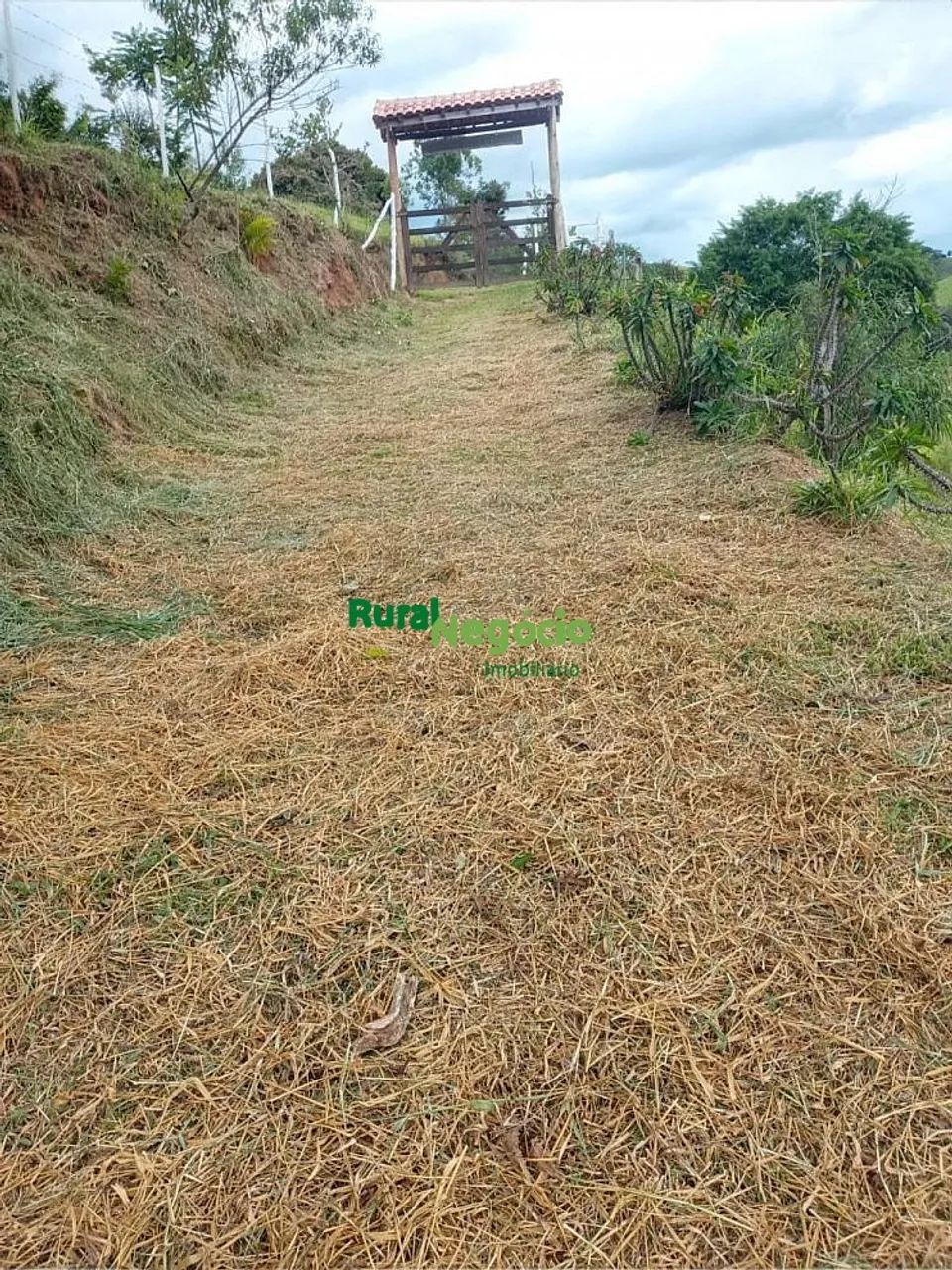CHÁCARA FORMADA COM RIO NOS FUNDOS Á VENDA EM SILVEIRAS-SP - Foto 4