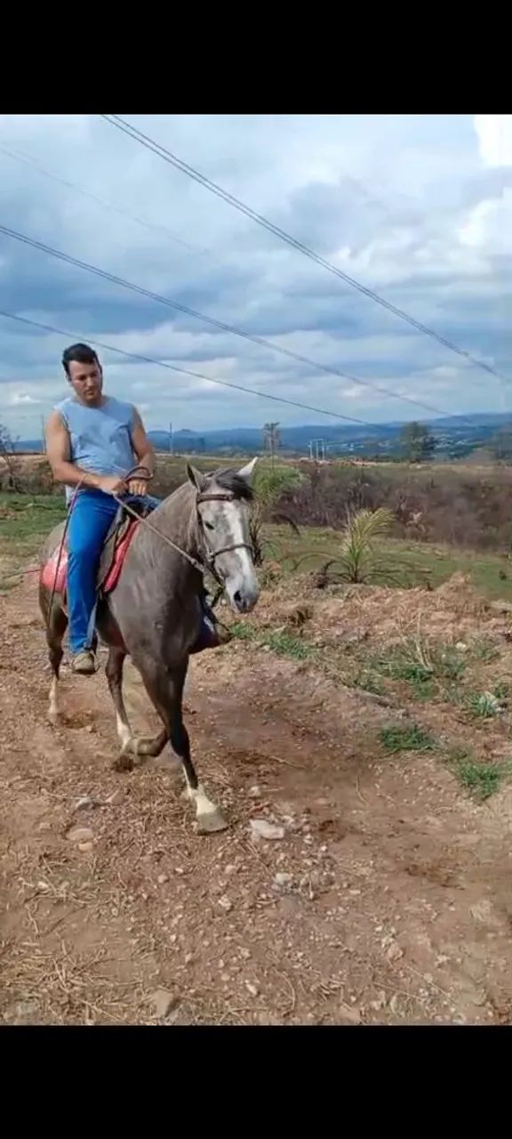 Égua  - Foto 2