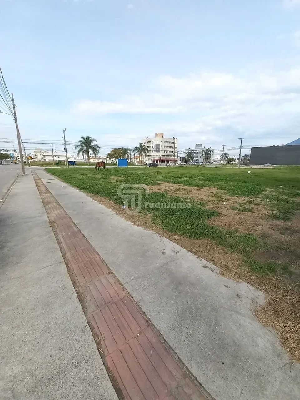 1634,36, avenida principal, Nova Palhoça, Palhoça, SC - Foto 2