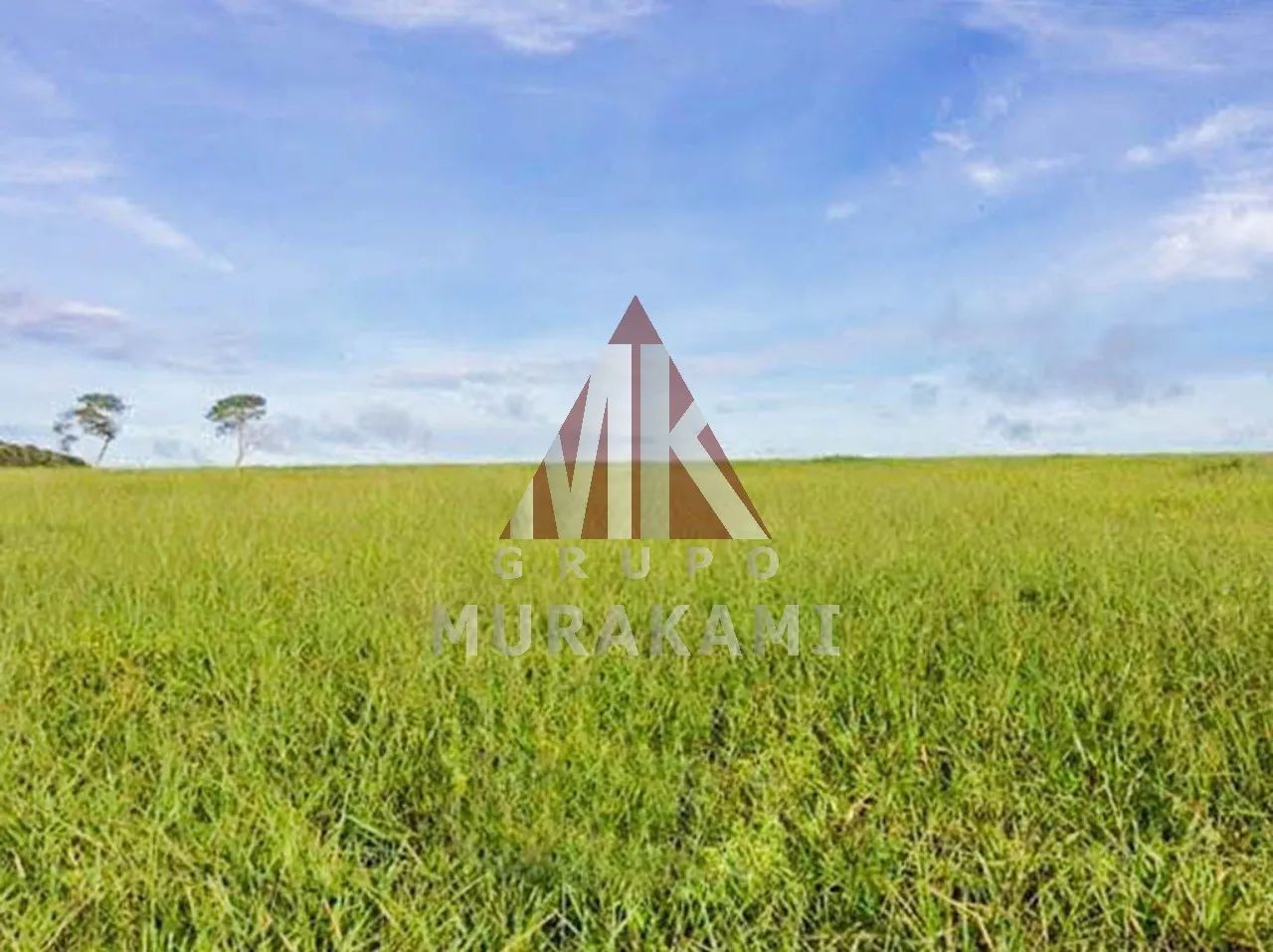 FAZENDA - CANARANA - MT - Foto 2