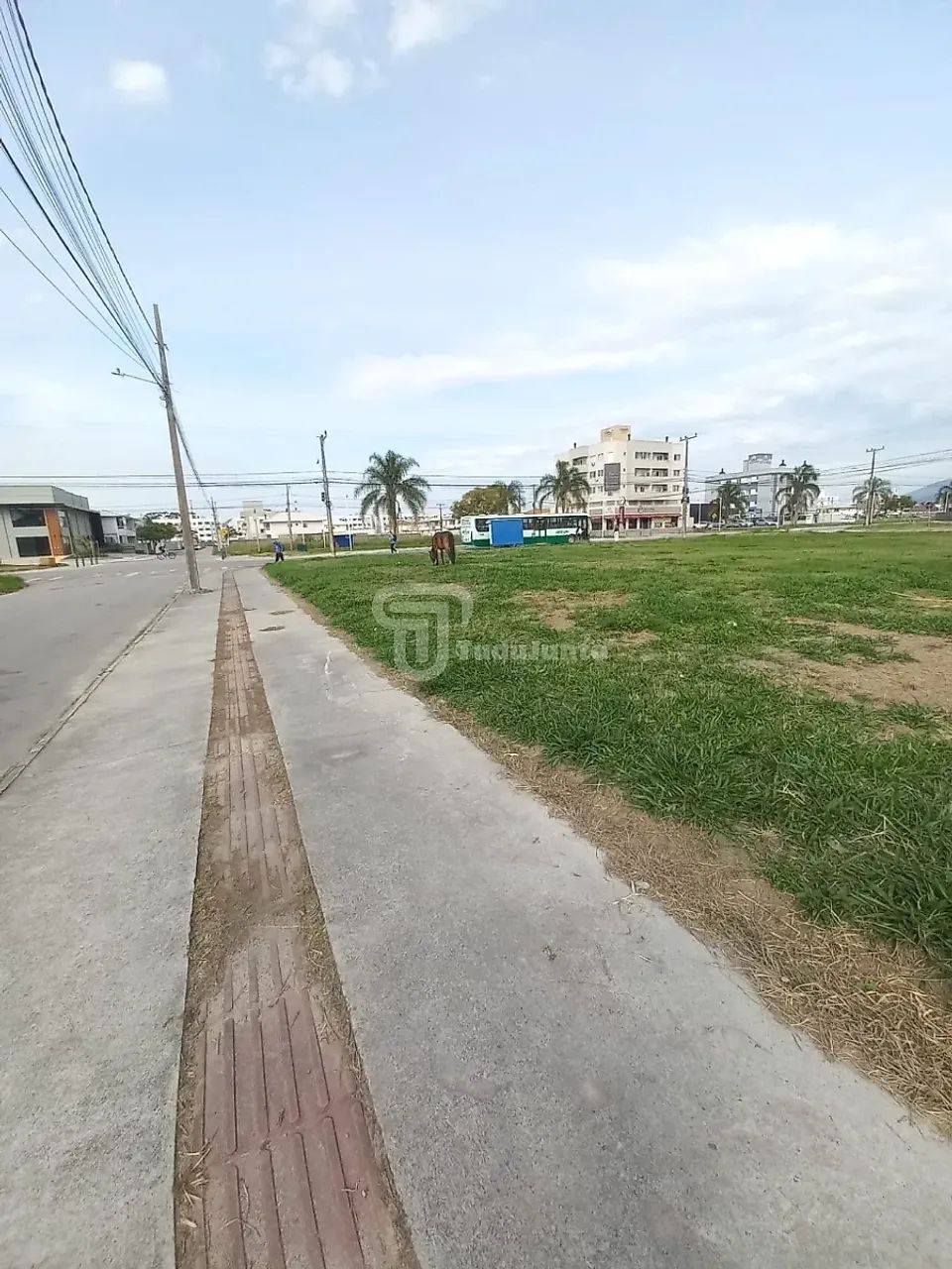 1634,36, avenida principal, Nova Palhoça, Palhoça, SC - Foto 3