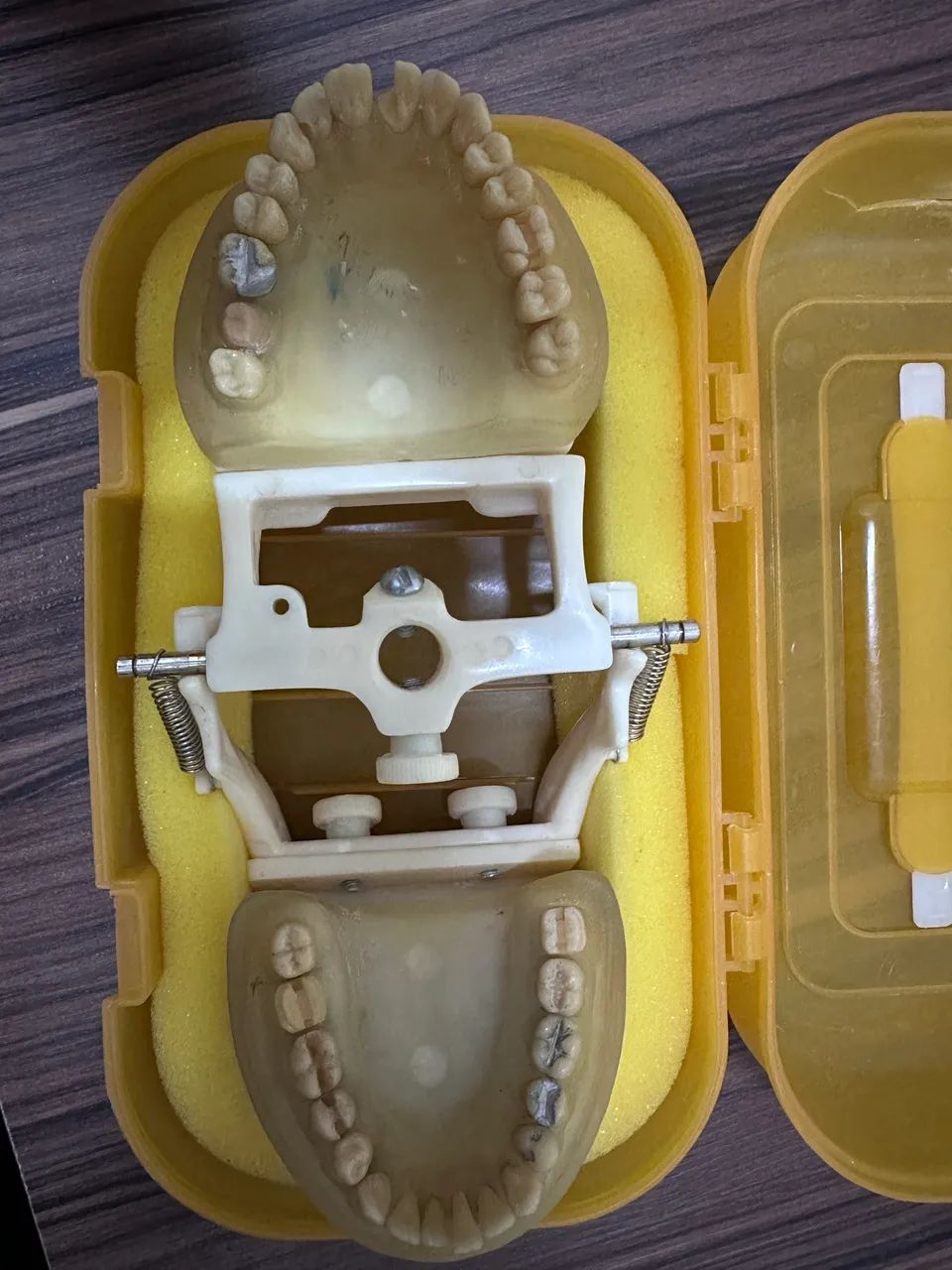 Vendo manequim Prodens dentistica 