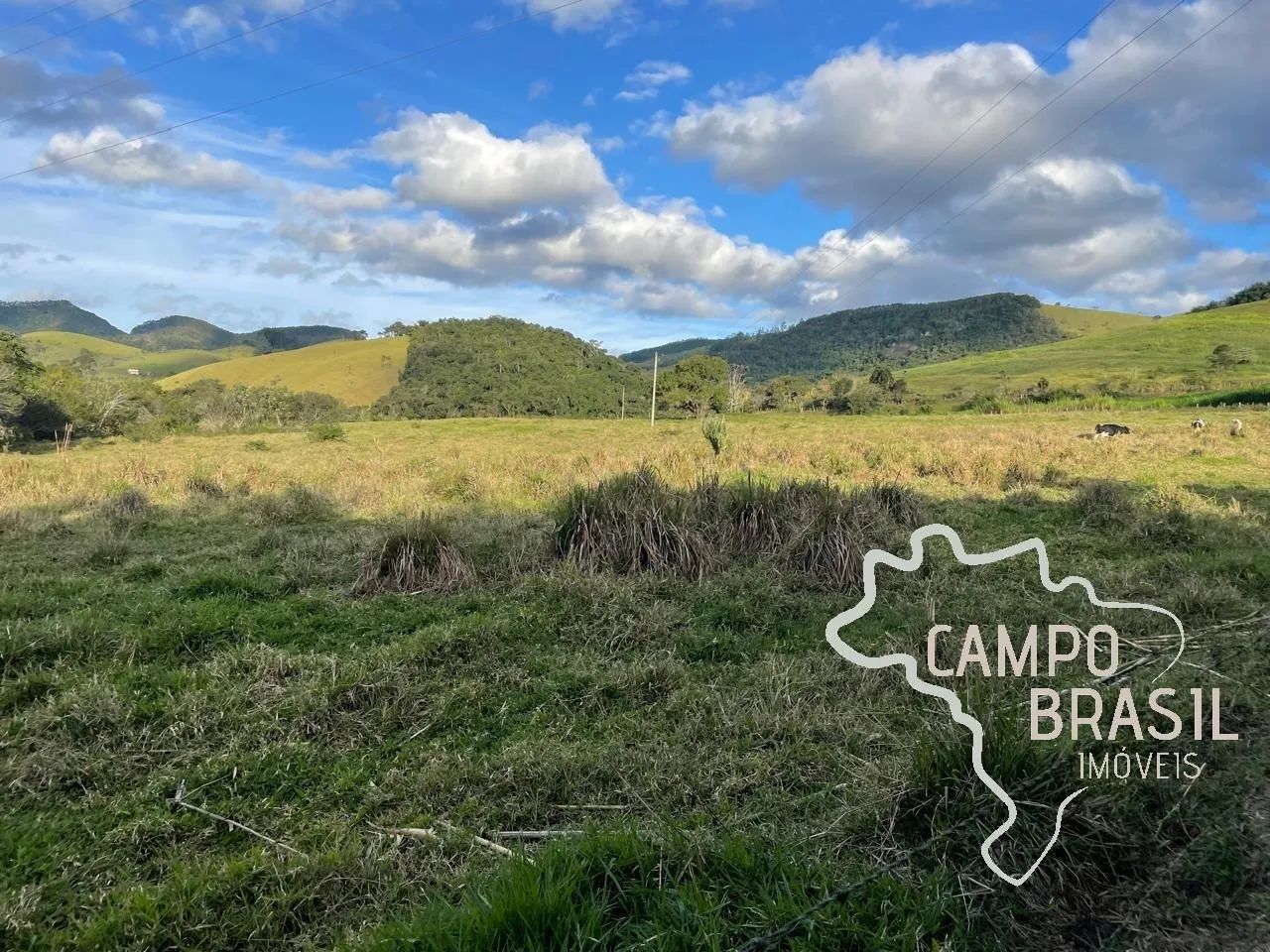 ÓTIMA ÁREA RURAL 100% TRATORÁVEL EM JAMBEIRO! - Foto 3