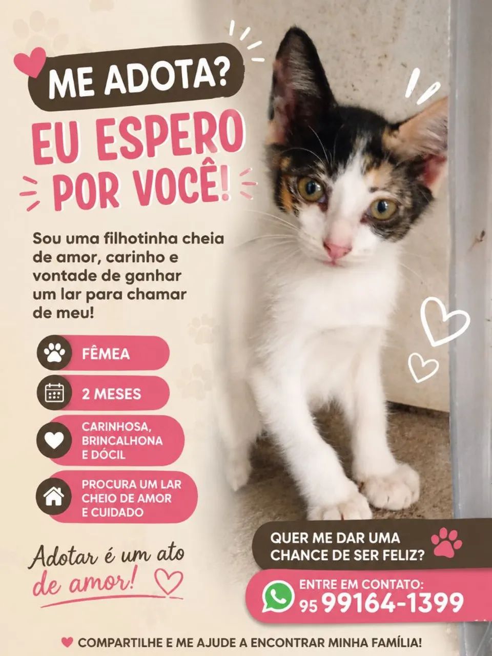 Doação de filhote