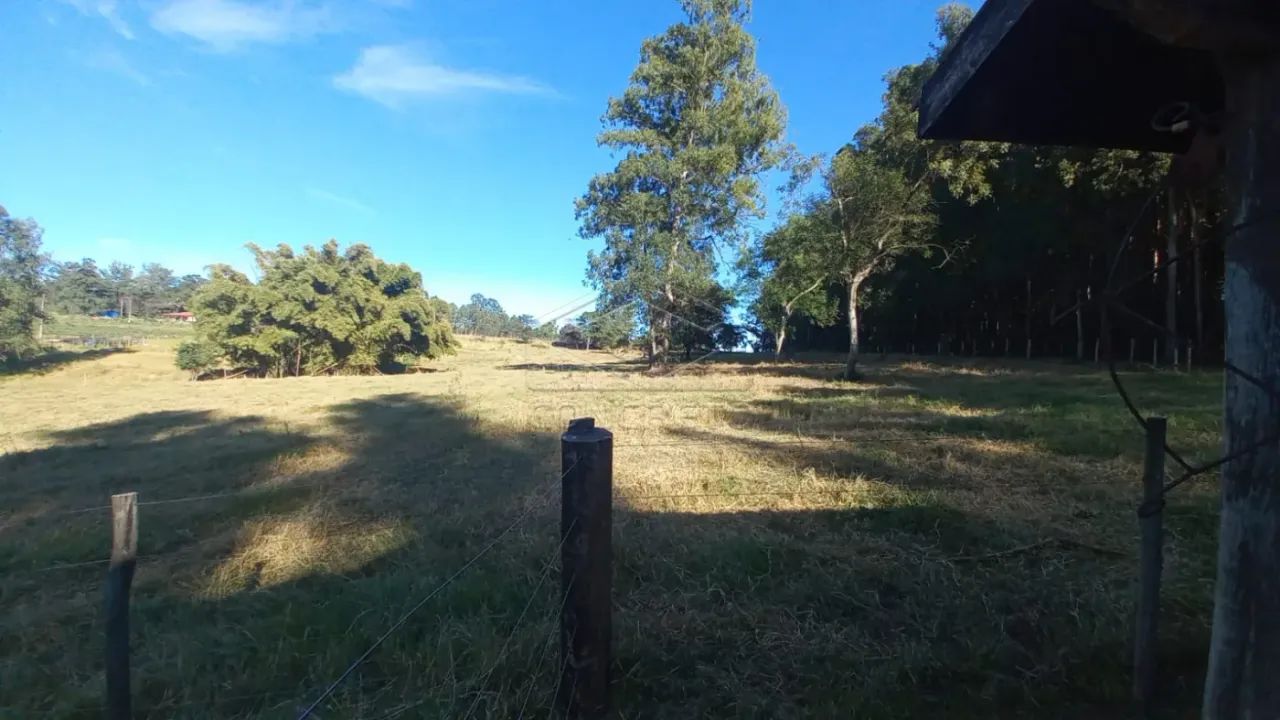 Sítio - SOL NASCENTE - PIRATININGA - Foto 3