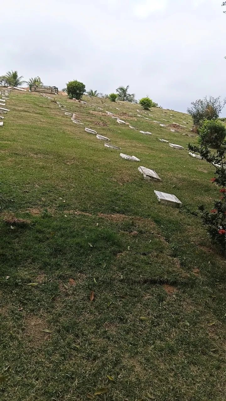 Vendo jazigo 2 espaços parque da paz  - Foto 2