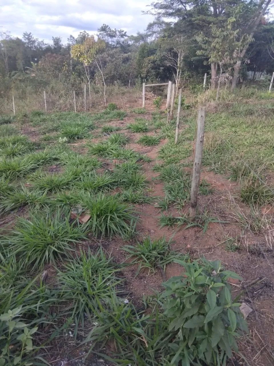 Vendo esse lote duplo - Foto 2