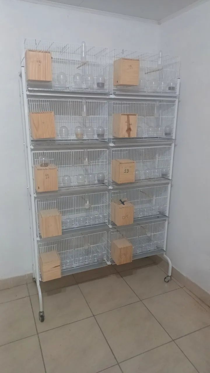 Jogo de gaiolas 