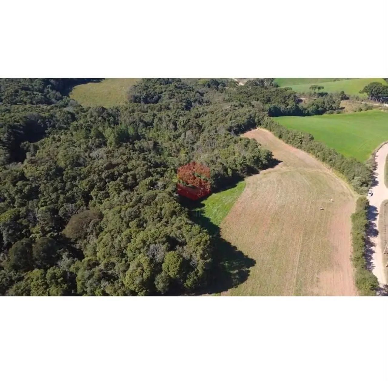 Área Rural à Venda  27.000 m²