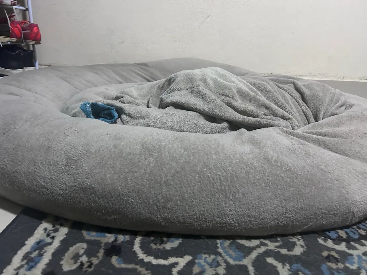Dog Bed - PET 100 cm