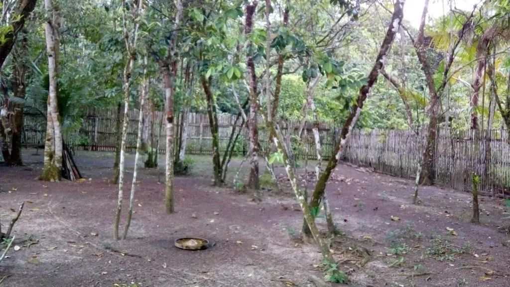 Casa/terreno em benevides  - Foto 5
