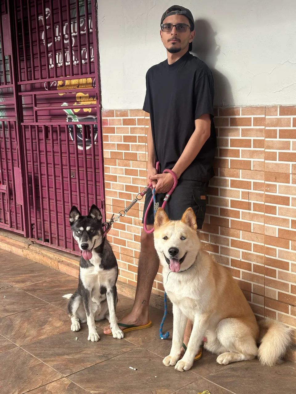 Doação cachorro  - Foto 3