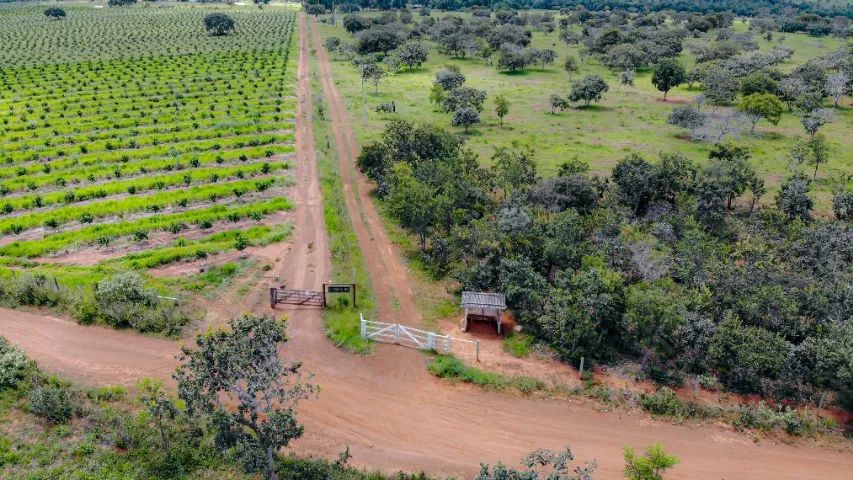 Lindo Sítio-Fazenda 60+20 Hects. - Foto 2