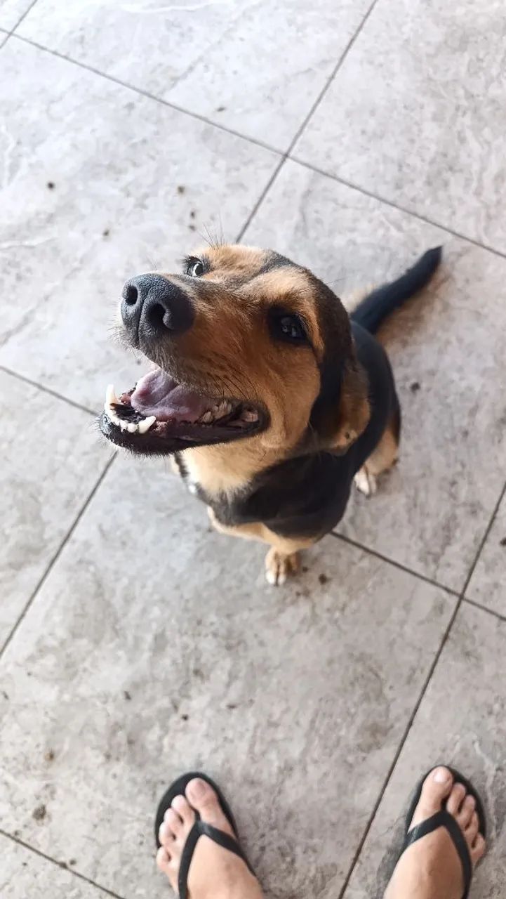 Doação 