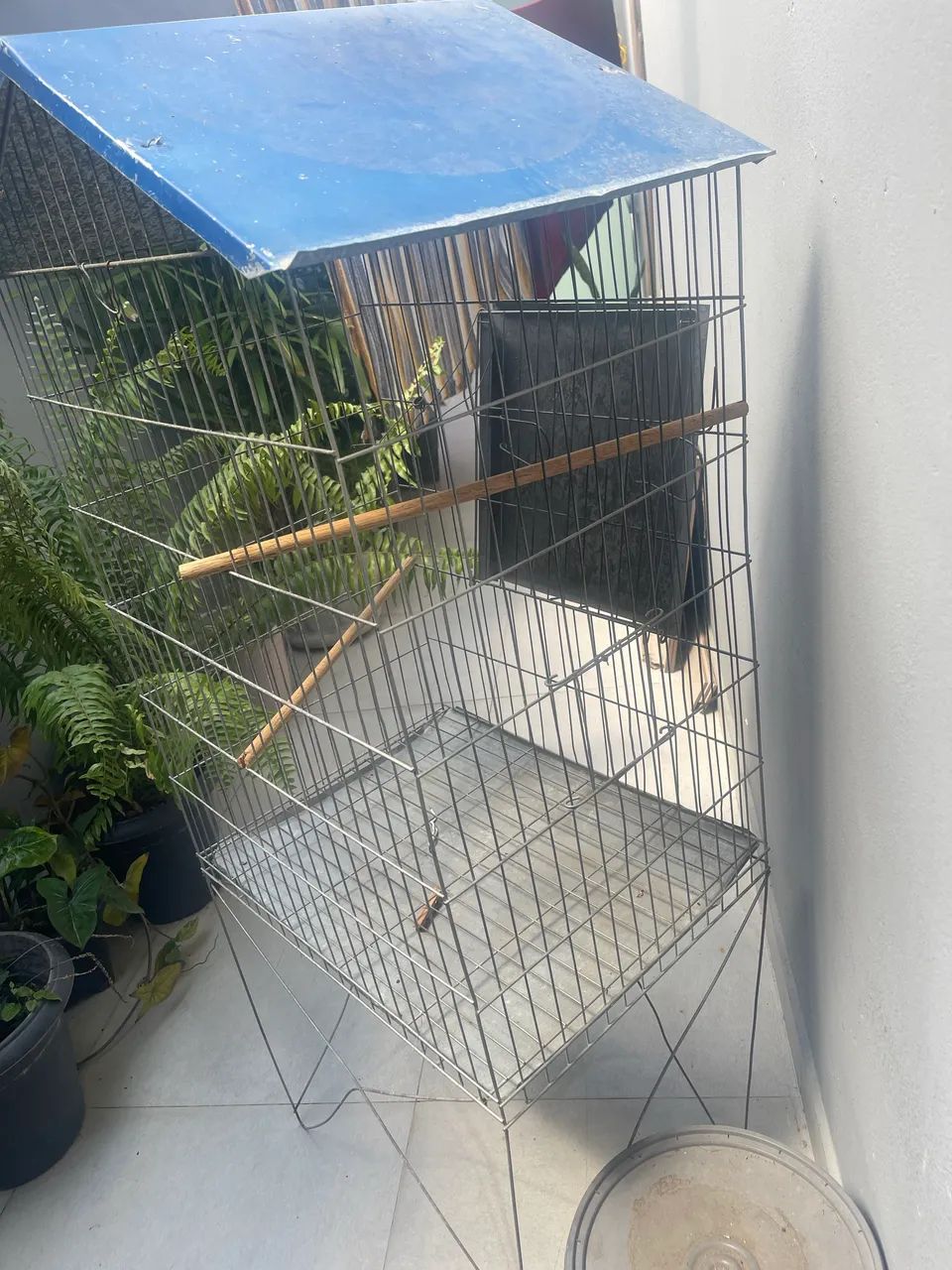 Gaiola  - Foto 2