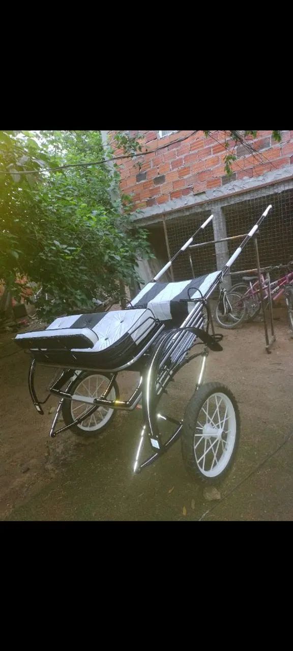 Charrete reformada sem uso pra venda. - Foto 2