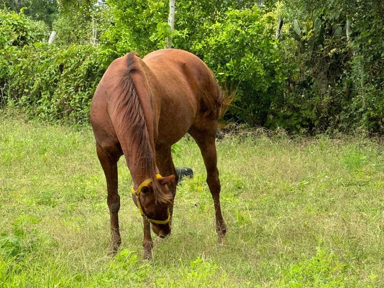 Área rural em Queimadas PB - Foto 4