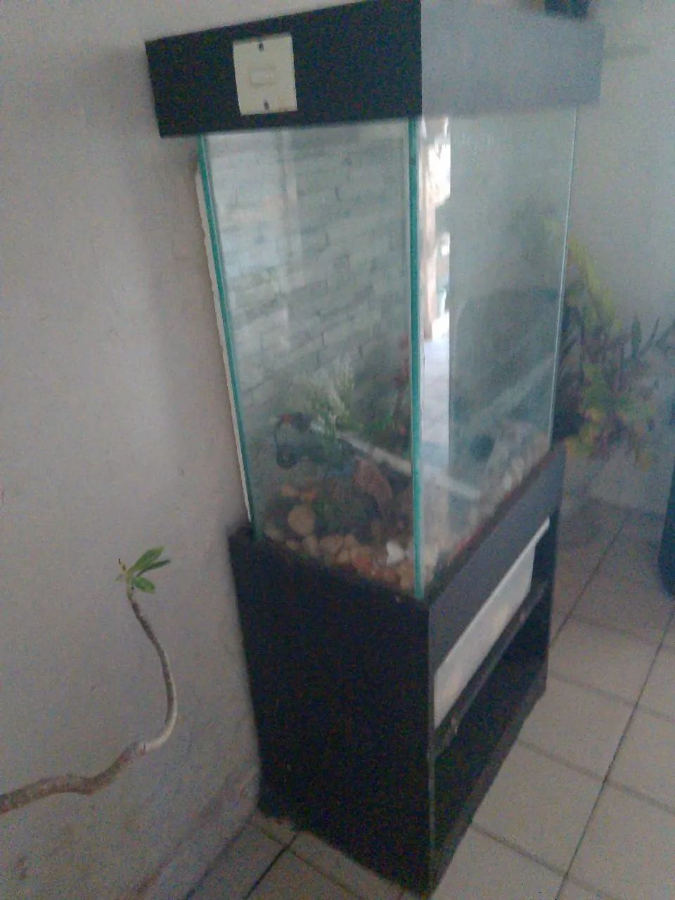 Aquário Completo  - Foto 2