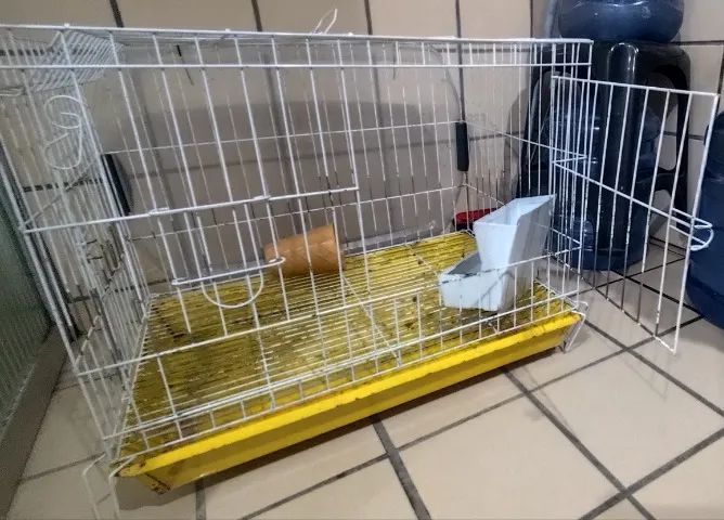 Gaiola para coelho / animais  - Foto 3