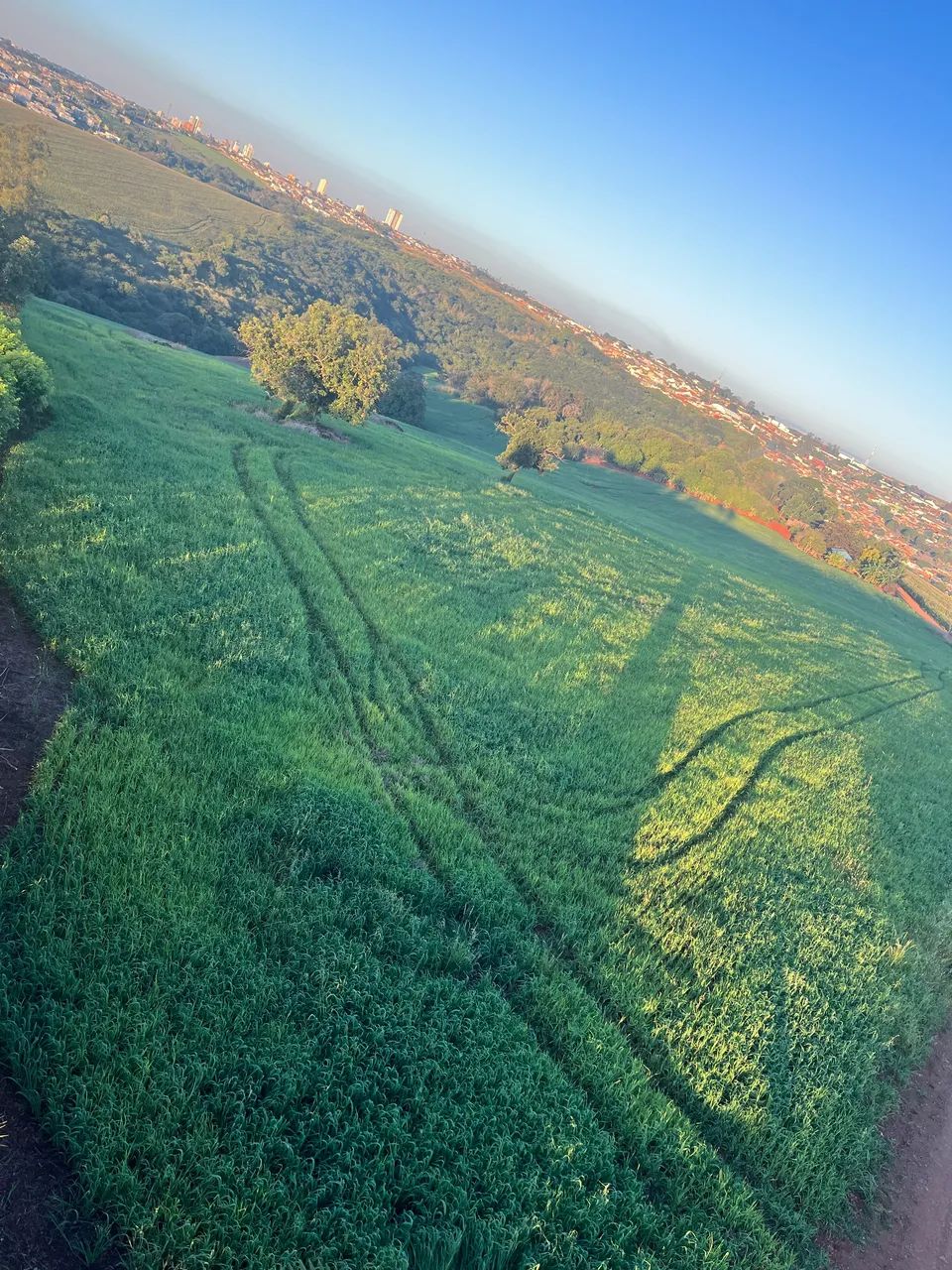 VENDE-SE Sitio em Ibiporã Paraná  - Foto 3