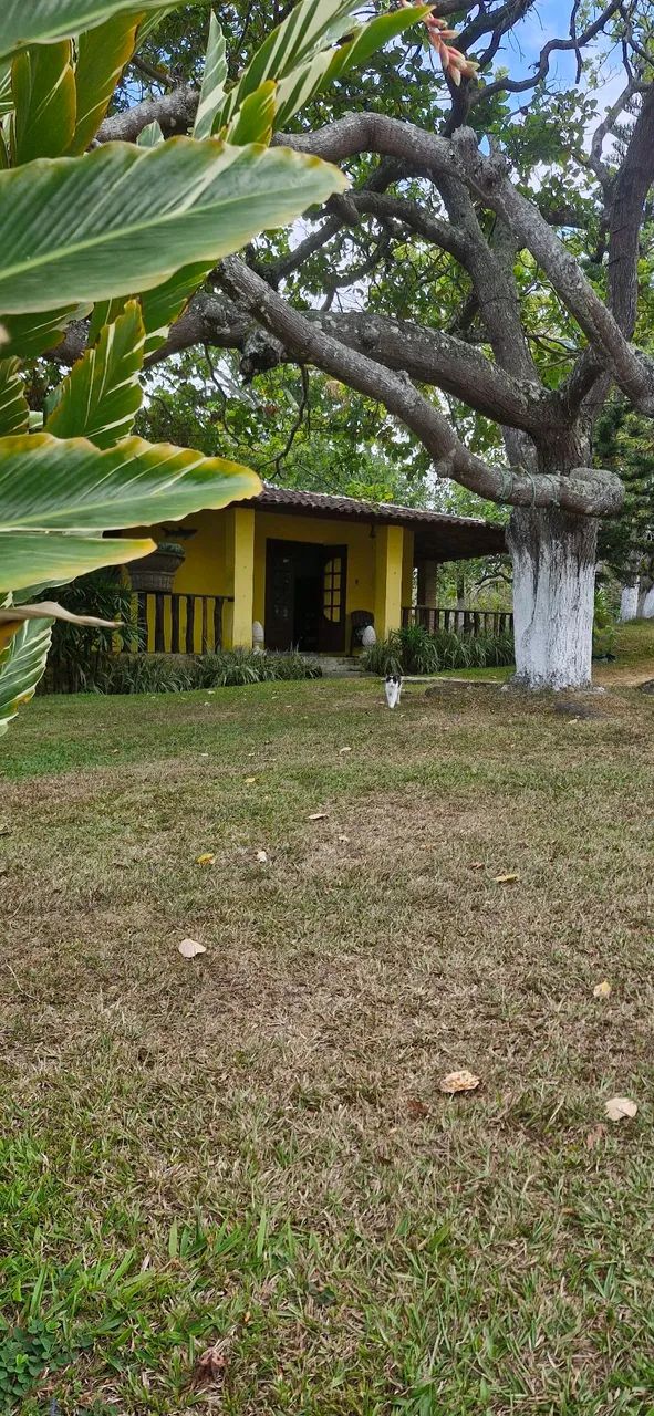 Sítio localizado em Moreno-Pe - Foto 3