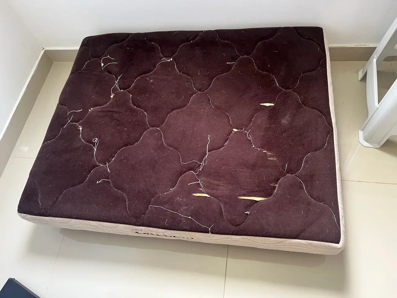 Cama para Pet - Foto 3