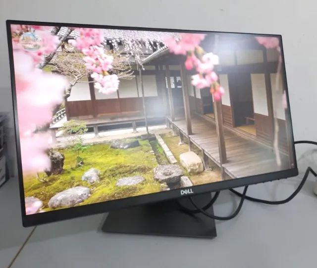 Monitor Dell P2219H 22 Polegadas IPS Full HD HDMI DisplayPort VGA - Foto 2