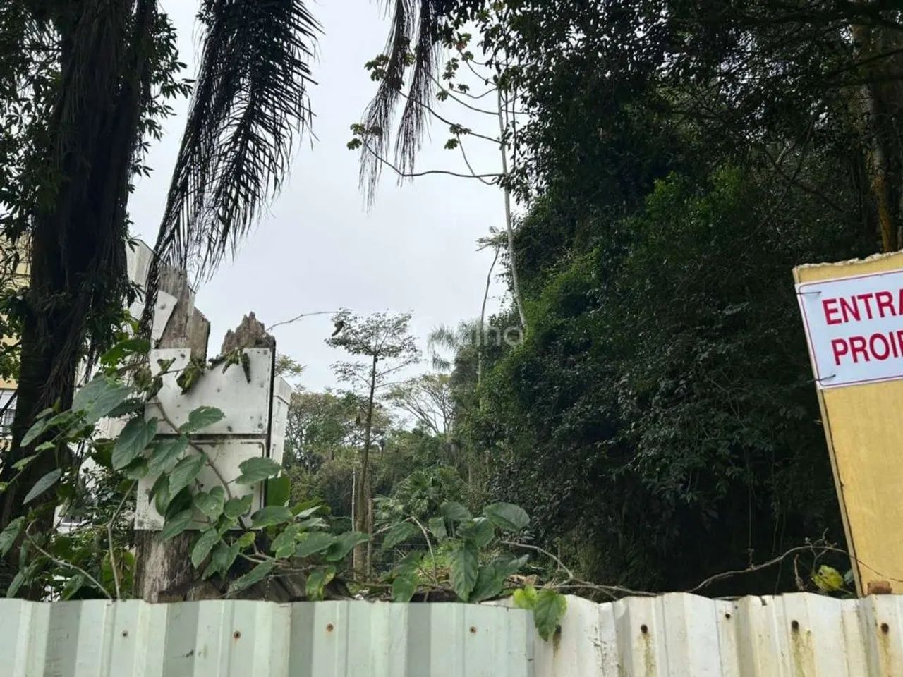 Terreno para Venda em Florianópolis, Coqueiros - Foto 4