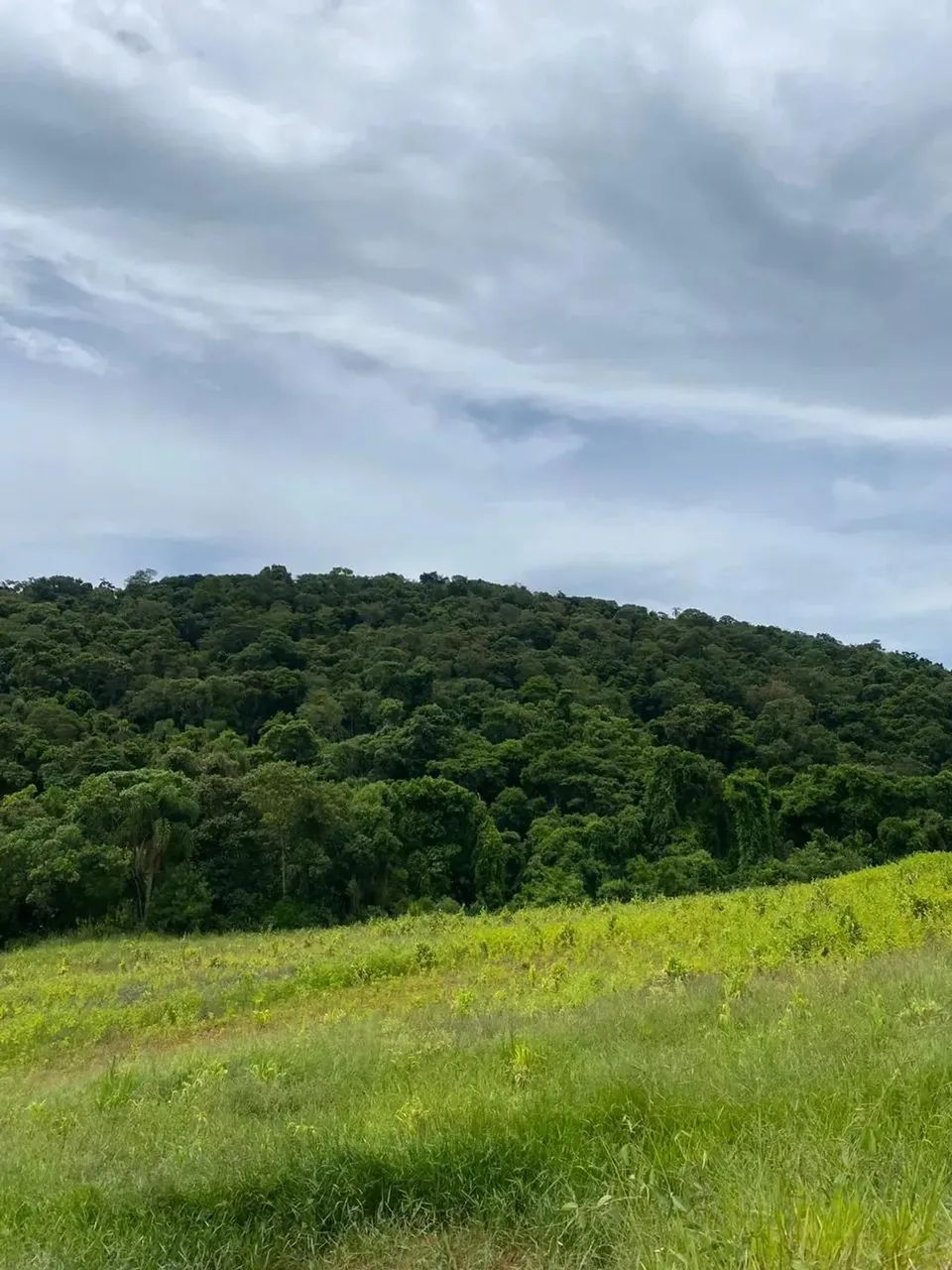 Imóvel para venda com 1000 metros quadrados em Rio de Una - Ibiúna - SP - Foto 13