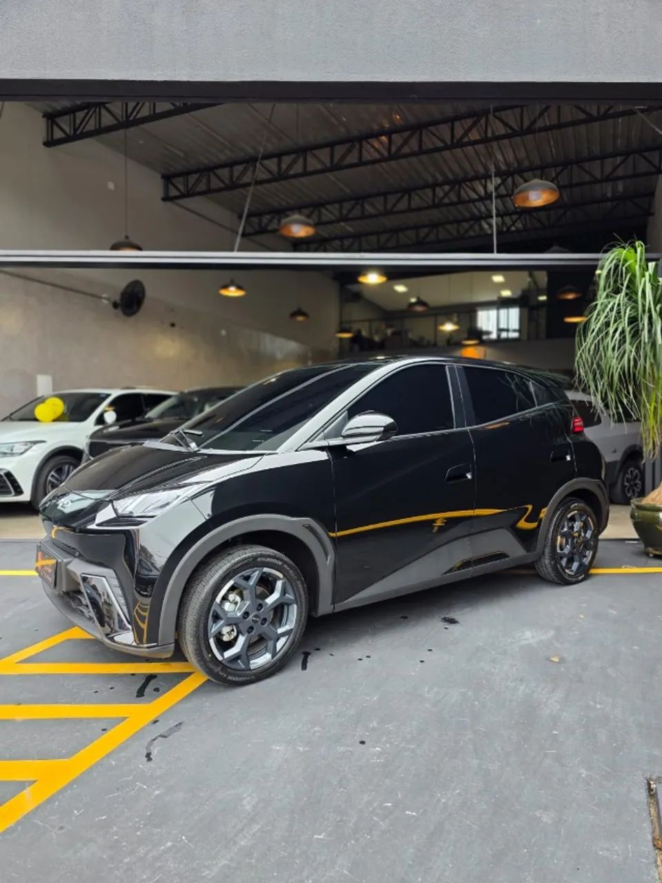 BYD Dolphin Mini (Elétrico) 2027 - Foto 2