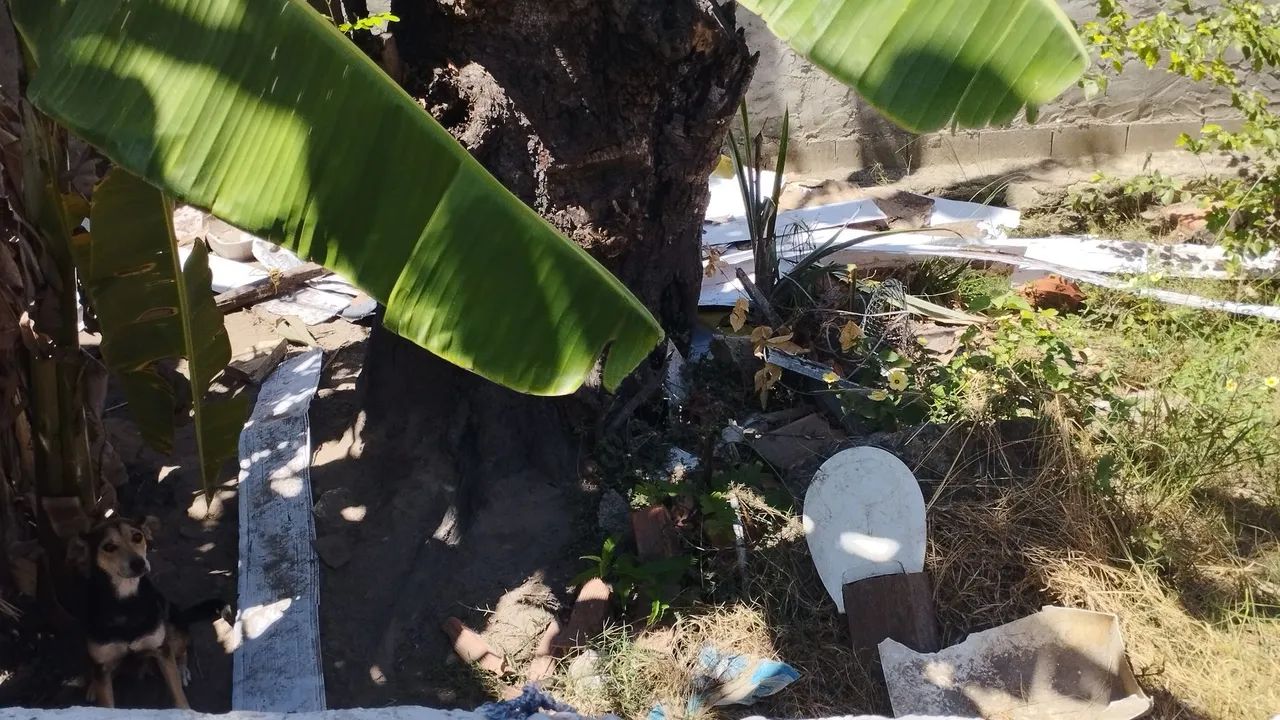 Casa - Foto 4