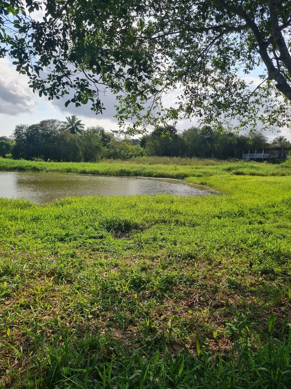  BR 324. Vendo terreno 2.500 m2 - Foto 2