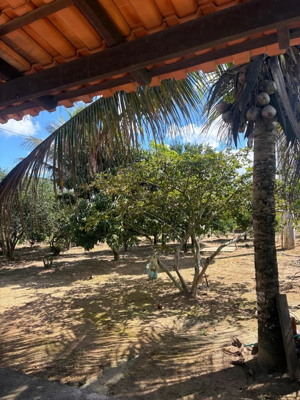 Vendo chacara 4 tarefa - Foto 4