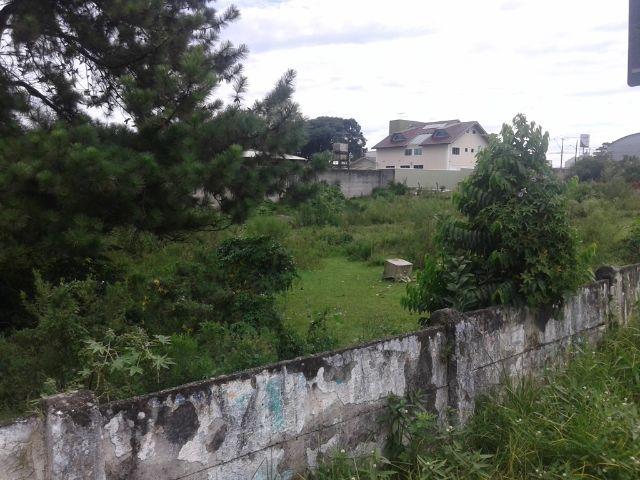 Área urbana com 04 lotes - Foto 4
