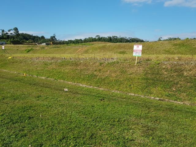 Terrenos comerciais de frente para a rua Santa Catarina no bairro Floresta - Foto 12