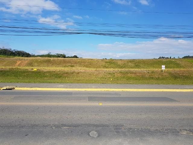 Terrenos comerciais de frente para a rua Santa Catarina no bairro Floresta