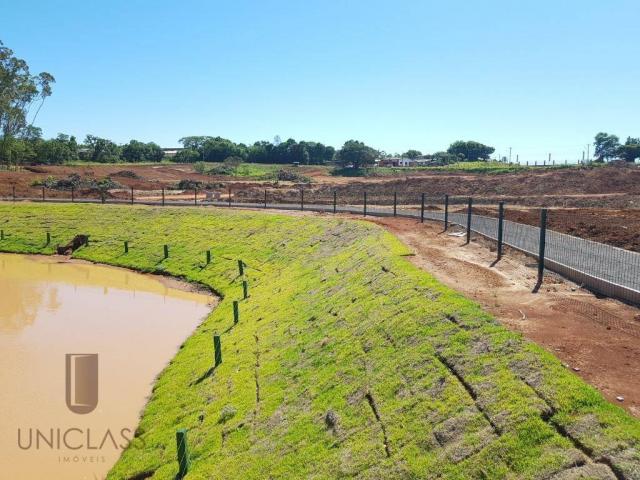 Terreno à venda em Centro, Nova santa rita cod:TE0296 - Foto 8