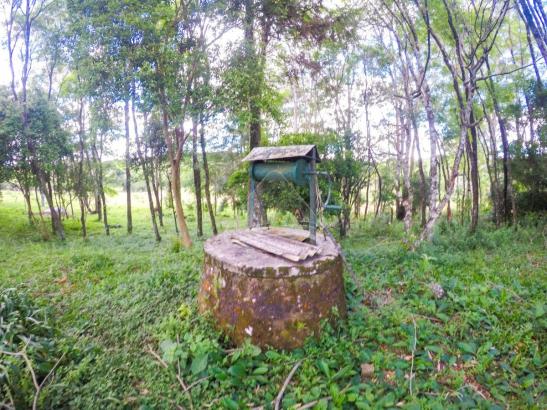 Chácara à venda em Pinheiro torto, Passo fundo cod:11207 - Foto 12