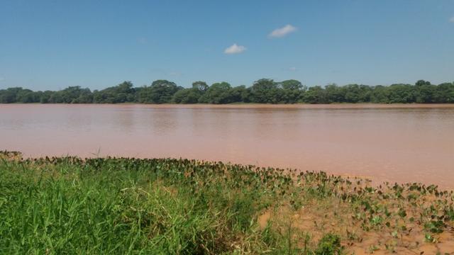 215A/Fazenda de 485 ha com outorga para irrigação às margens do Rio São Francisco - Foto 8