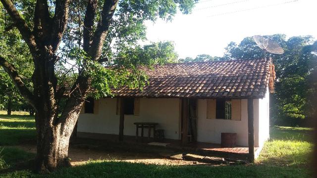 215A/Fazenda de 485 ha com outorga para irrigação às margens do Rio São Francisco - Foto 3