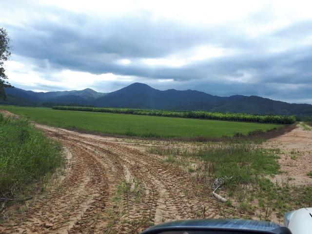 Fazenda Linda para Plantio de Arroz, Aceita parte Parcelado - Foto 4