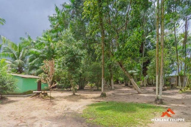 Chácara em ananindeua - 5.250 m² - Foto 6