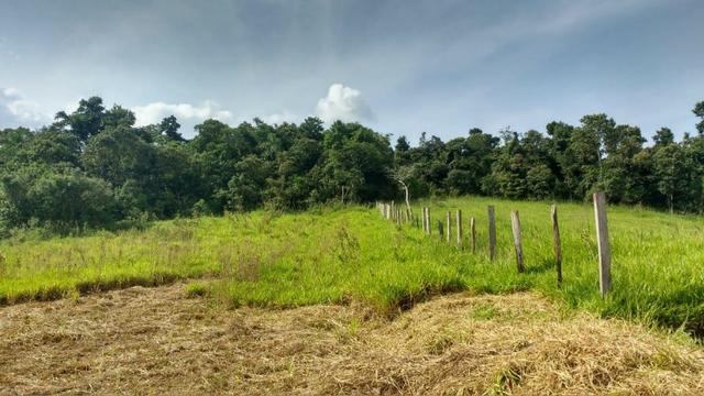 Realize seu Sonho Terreno 500 m² - Foto 3