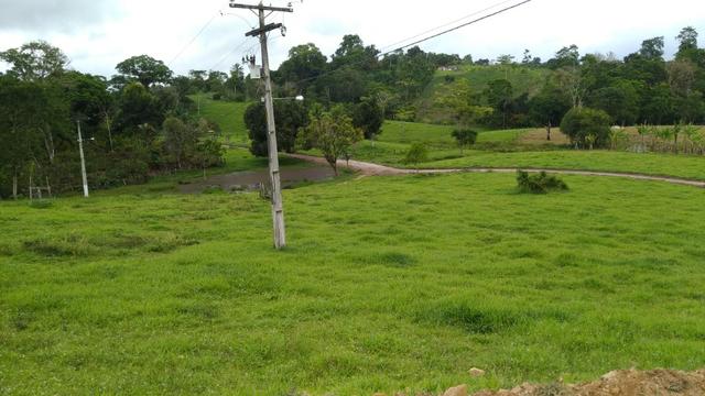 Fazenda - Foto 6