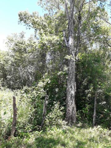 Chácara Taquaraçu de Minas *Ótima localização* - Foto 19