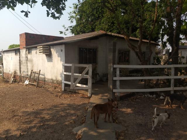 Chácara 2.5 ha, linha 16 cinturão verde - Foto 9