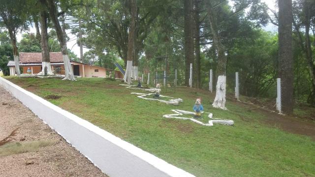 Oportunidade Sítio em Mandirituba - Foto 2